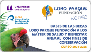 Imagen de Becas Loro Parque