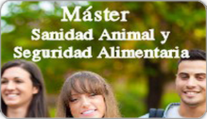 Imagen decorativa relativa al master